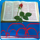 Studiu Biblic أيقونة
