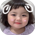 Korean Cute Baby icono