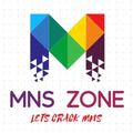 MNS ZONE