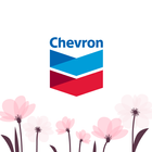 Chevron ไอคอน