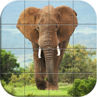 Wildlife Puzzle ikona