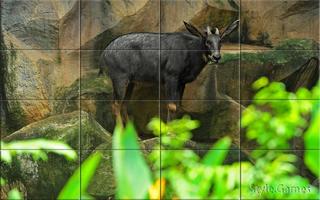 Wildlife Puzzle पोस्टर