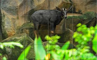 Wildlife Puzzle Affiche