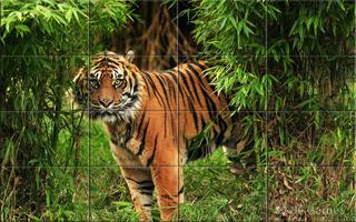 برنامه‌نما Wildlife Puzzle عکس از صفحه