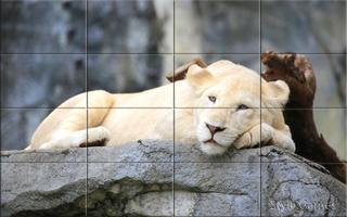 برنامه‌نما Wildlife Puzzle عکس از صفحه