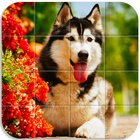 Dogs Tile Puzzle icono