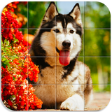 Dogs Tile Puzzle-icoon