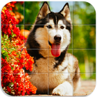 Dogs Tile Puzzle icône