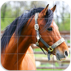 Horses Tile Puzzle ikon