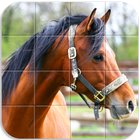 آیکون‌ Horses Tile Puzzle