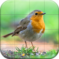 Sparrows Puzzle