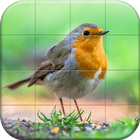 Sparrows Puzzle أيقونة