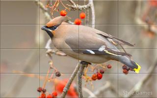 Sparrows Puzzle تصوير الشاشة 1