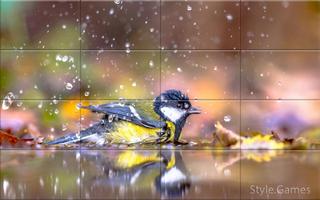 Sparrows Puzzle تصوير الشاشة 2