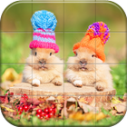 Lovely Pet Puzzle أيقونة