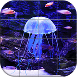 Sea world Puzzle أيقونة