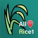All-Rice1 aplikacja
