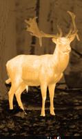 Night Vision Thermal Color Filter Effect CameraLit Plakat