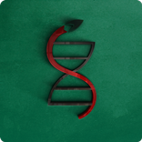 Agropecuária Sucuri