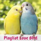 Suara LoveBird Apps icône