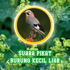 Suara Pikat Burung Kecil Liar ícone