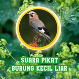 Suara Pikat Burung Kecil Liar biểu tượng