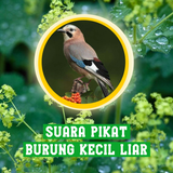 Suara Pikat Burung Kecil Liar icône