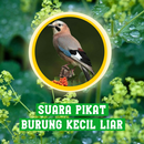 Suara Pikat Burung Kecil Liar APK