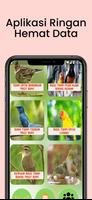 برنامه‌نما Terapi Kicau Burung Lengkap عکس از صفحه