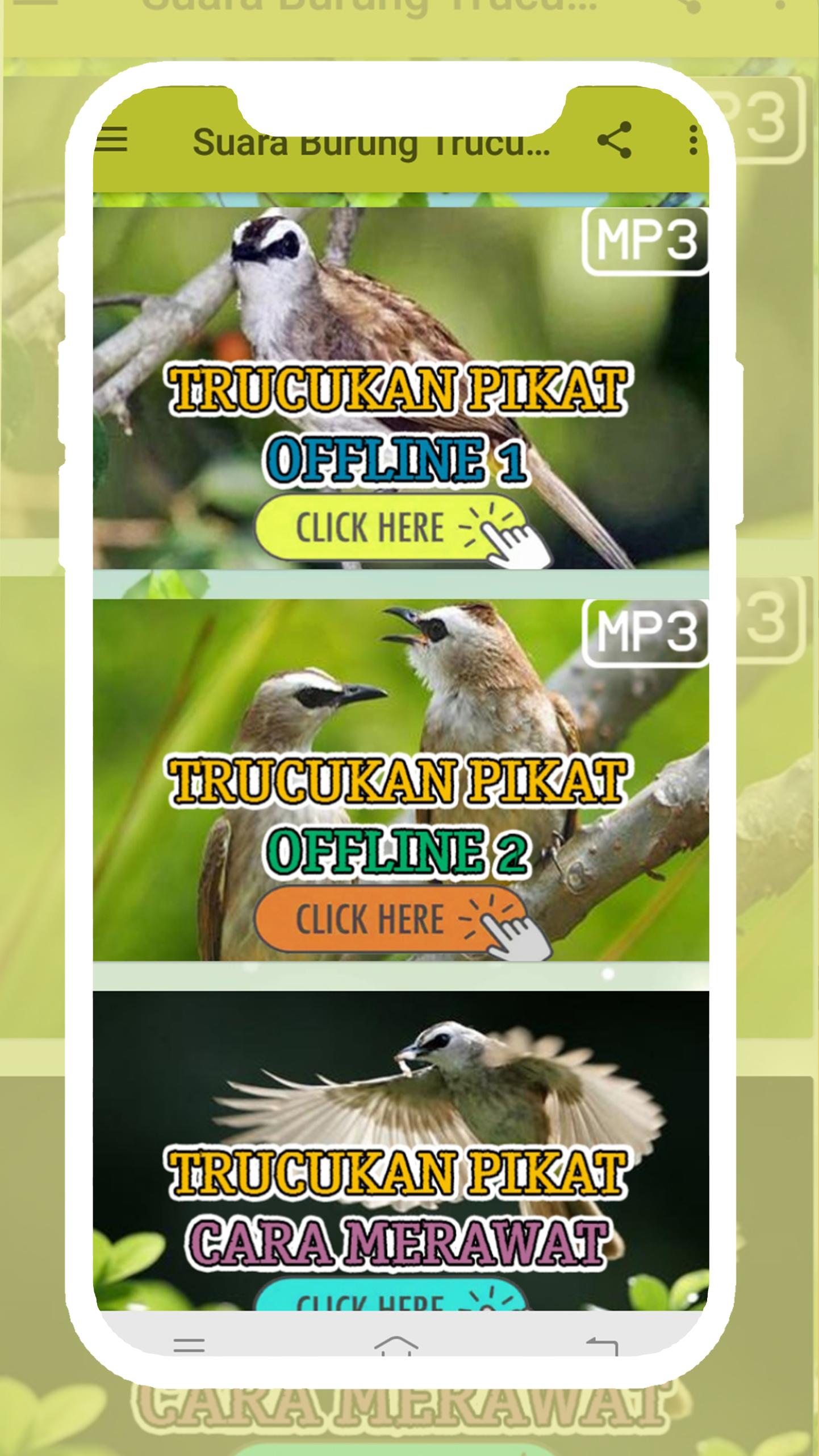 Kicau Suara Burung Trucukan Pikat Offline For Android Apk Download