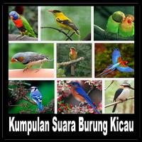 Kumpulan Suara Burung Kicau ポスター