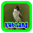 Suara Burung Kutilang