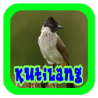 Suara Burung Kutilang アイコン