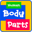 Learning Human Body for Kids