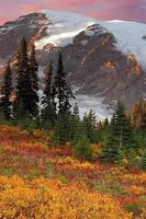 Wallpaper Nature Free HD poster