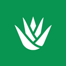 Stepseed: AI Goal Tracker APK