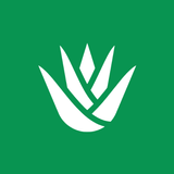 Stepseed icône