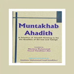 Muntakhab Ahadees icon