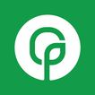 The Oak Pointe Church App simgesi