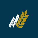 Harvest Pointe APK