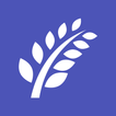 Icona Lighthouse Community Care AZ