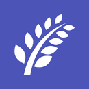 Lighthouse Community Care AZ APK