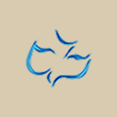 Calvary Chapel Harvest Life APK