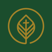 Life Pointe Church Woodland иконка
