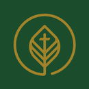 Life Pointe Church Woodland APK