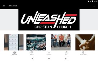 Unleashed скриншот 3