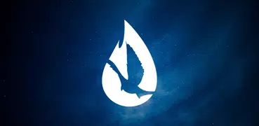 David Hernandez Ministries