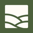 Fieldview Church
