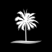 Tampa Life Church icon