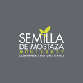 ”Semilla de Mostaza Monterrey